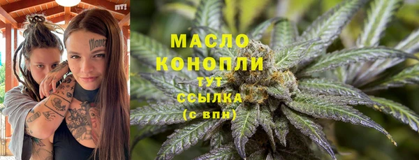 гидра Армянск