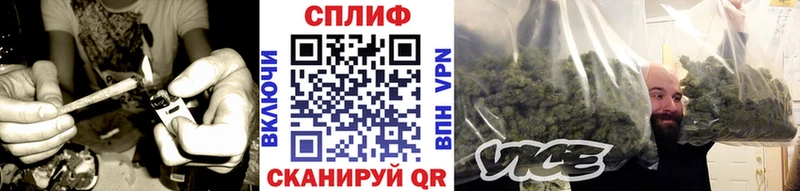 закладка Харабали Бошки Шишки гибрид